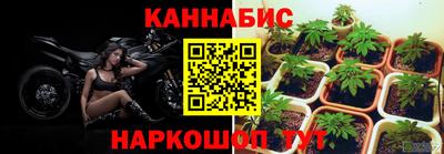 гашик Малгобек