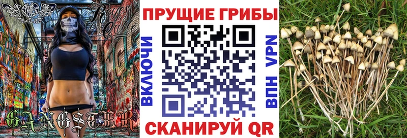 Галлюциногенные грибы MAGIC MUSHROOMS  Новороссийск 