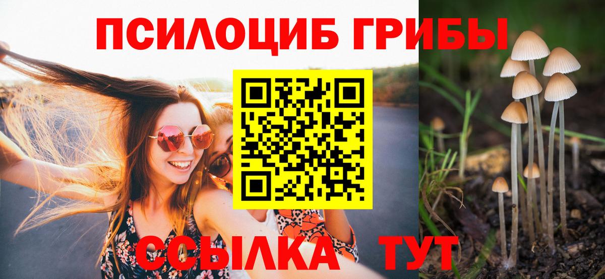 продажа наркотиков  Псилоцибиновые грибы ЛСД  Новороссийск  Вход с VPN  Галлюциногенные грибы ЛСД 