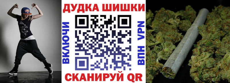 Конопля сатива  Новороссийск 